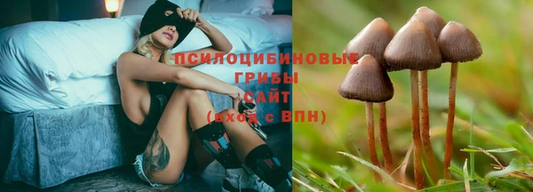 прущий лед Нефтекумск