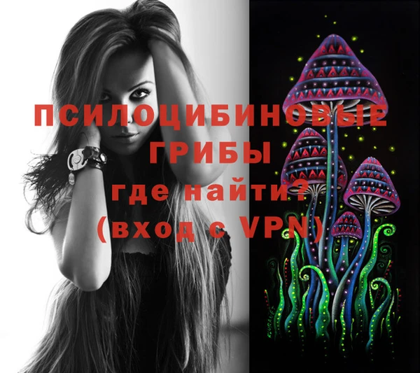крисы Алзамай