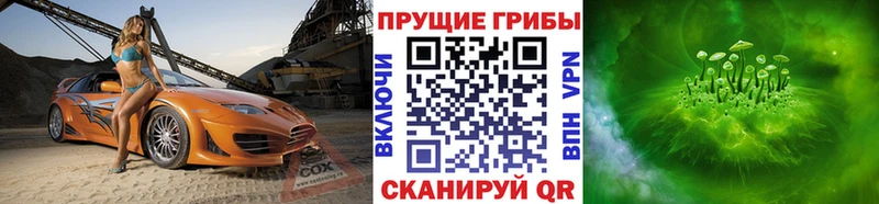 Псилоцибиновые грибы GOLDEN TEACHER  сколько стоит  Йошкар-Ола 