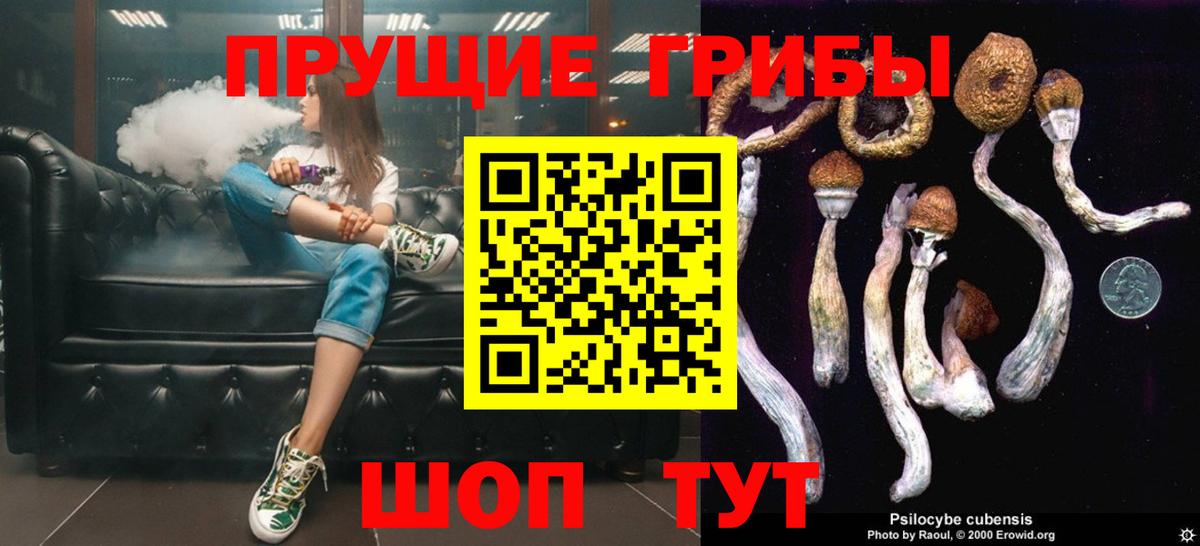 Псилоцибиновые грибы мицелий  магазин продажи   Йошкар-Ола  Вход с VPN 
